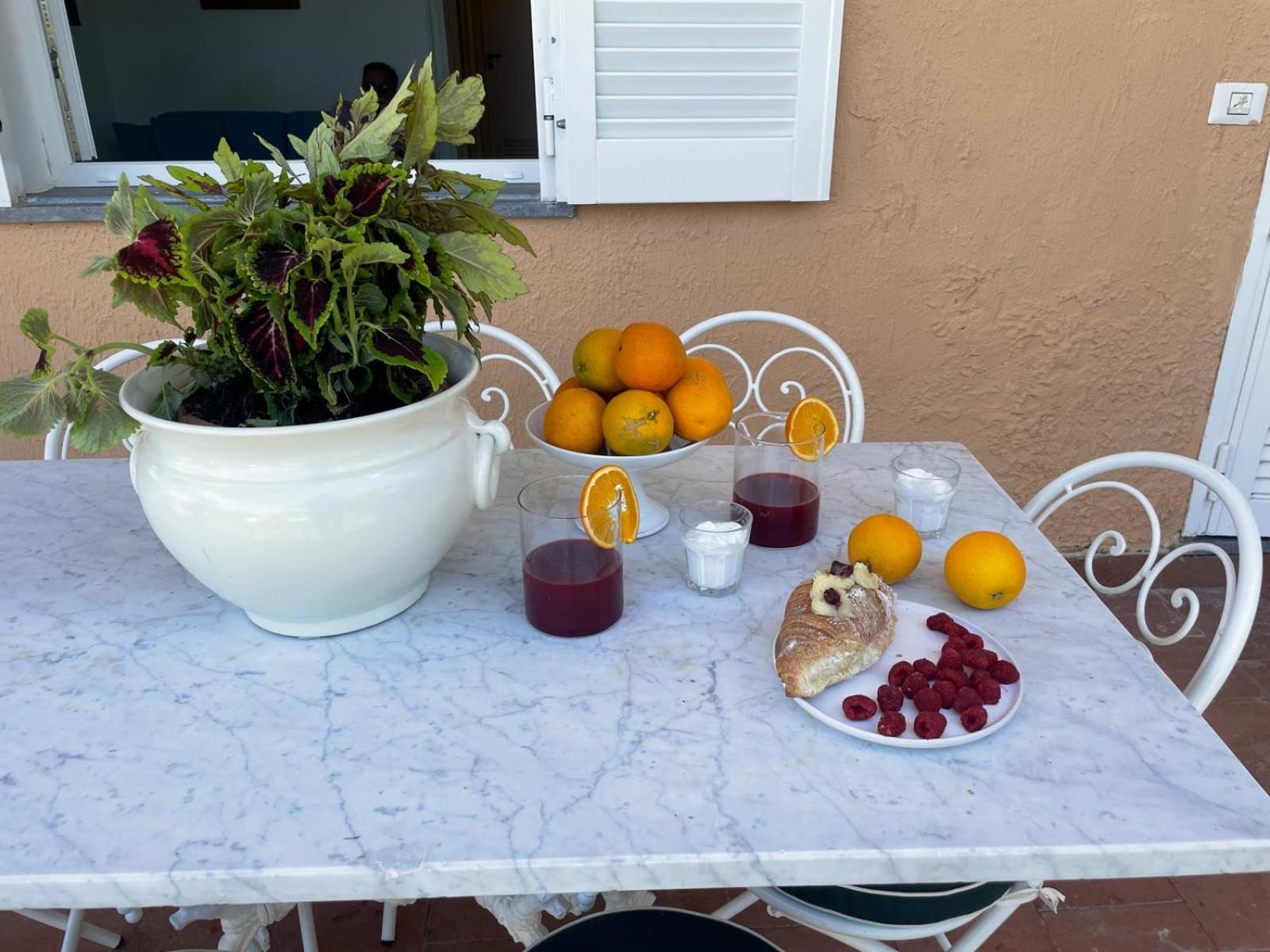 Un Paradiso A Sorrento Con Piscina ماسّا لوبْرينسِ المظهر الخارجي الصورة