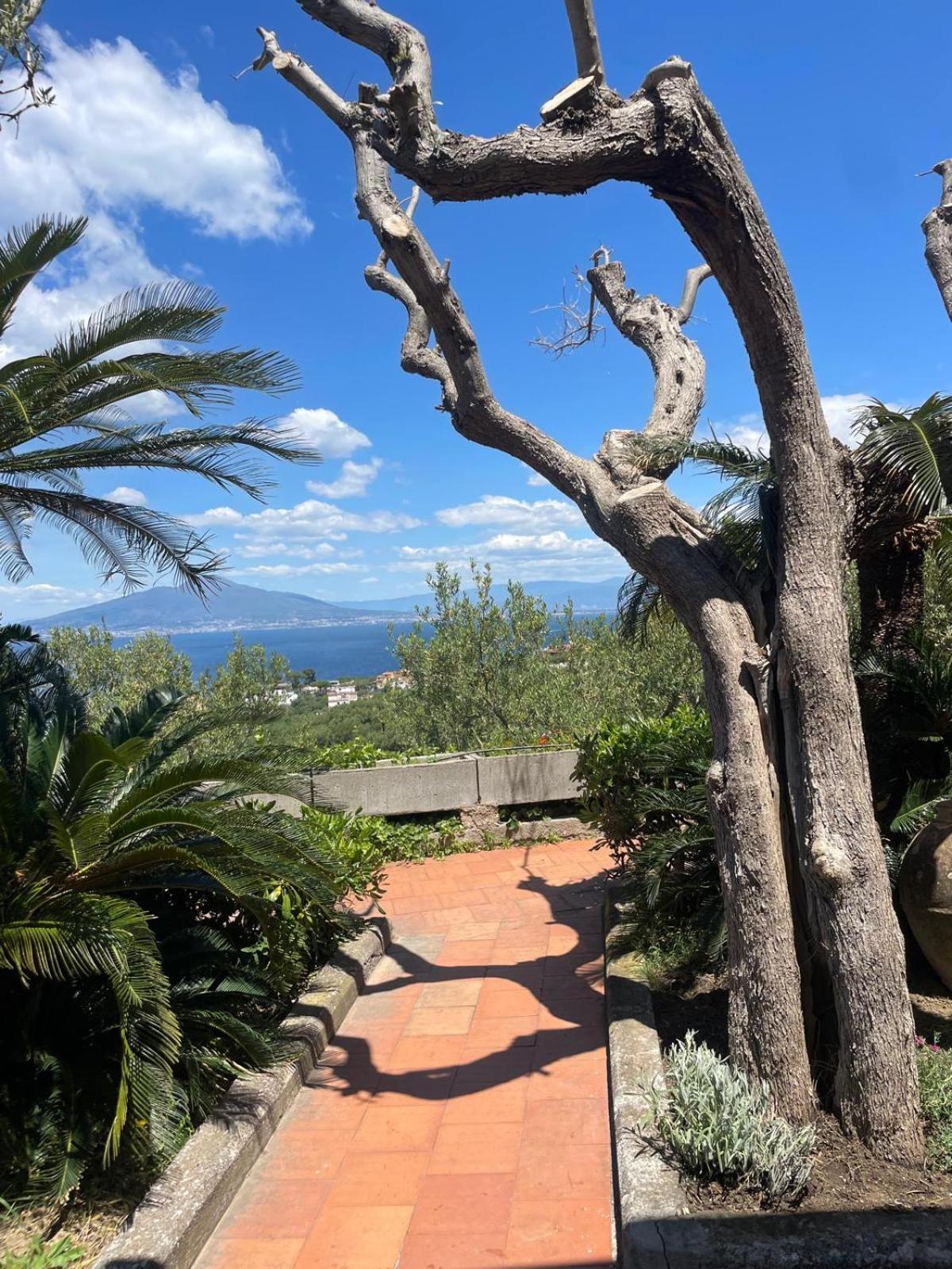 Un Paradiso A Sorrento Con Piscina ماسّا لوبْرينسِ المظهر الخارجي الصورة