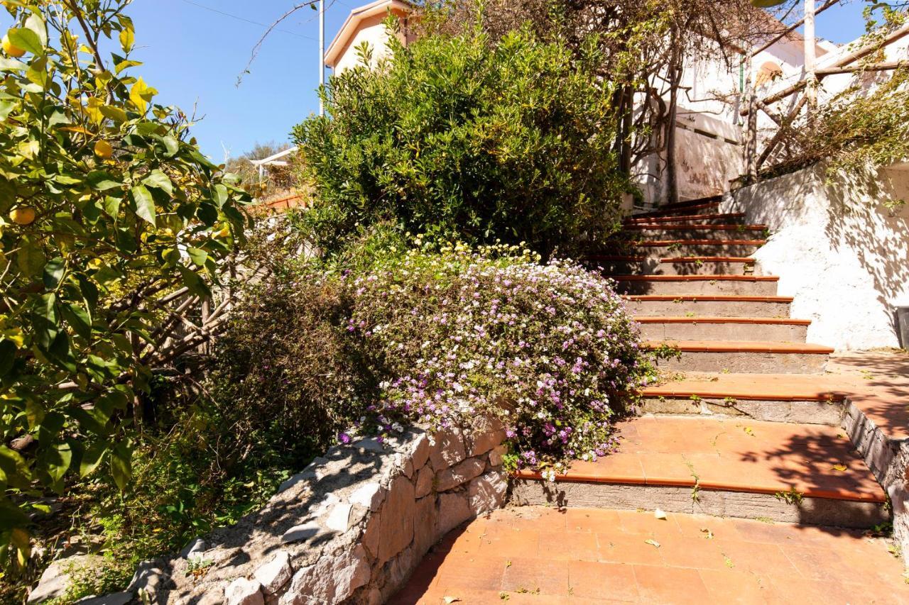 Un Paradiso A Sorrento Con Piscina ماسّا لوبْرينسِ المظهر الخارجي الصورة